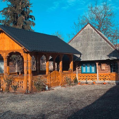 Ocna Şugatag La Rodica In Vale旅馆 外观 照片