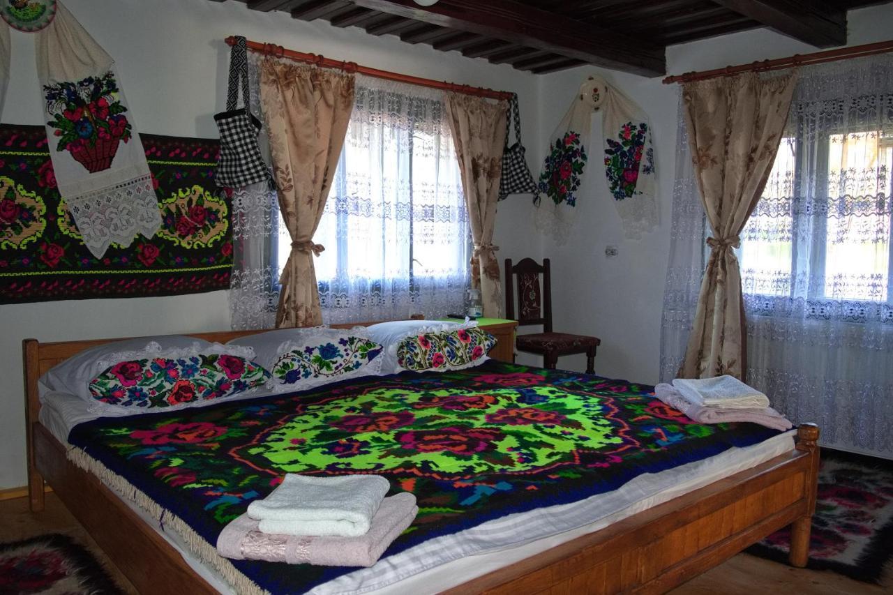 Ocna Şugatag La Rodica In Vale旅馆 外观 照片