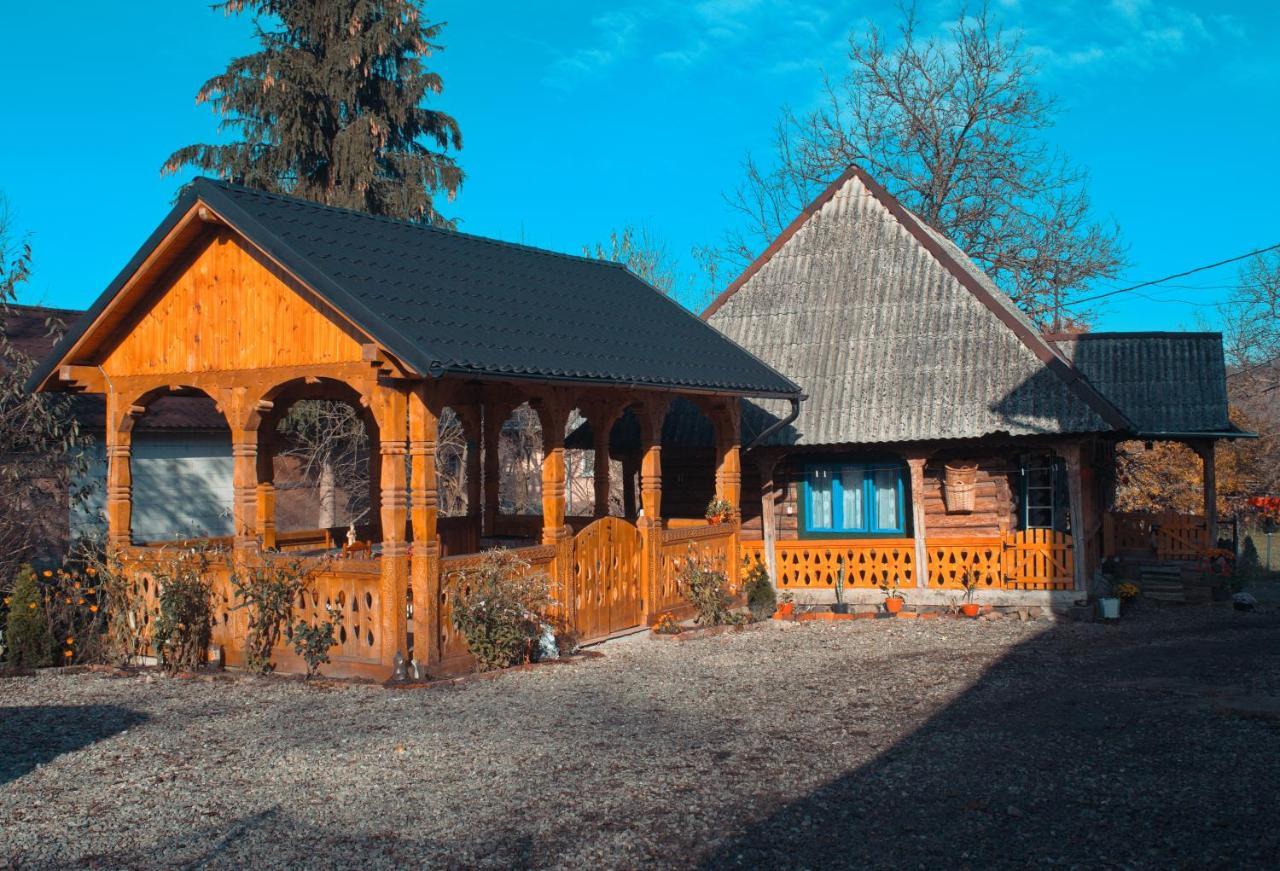 Ocna Şugatag La Rodica In Vale旅馆 外观 照片