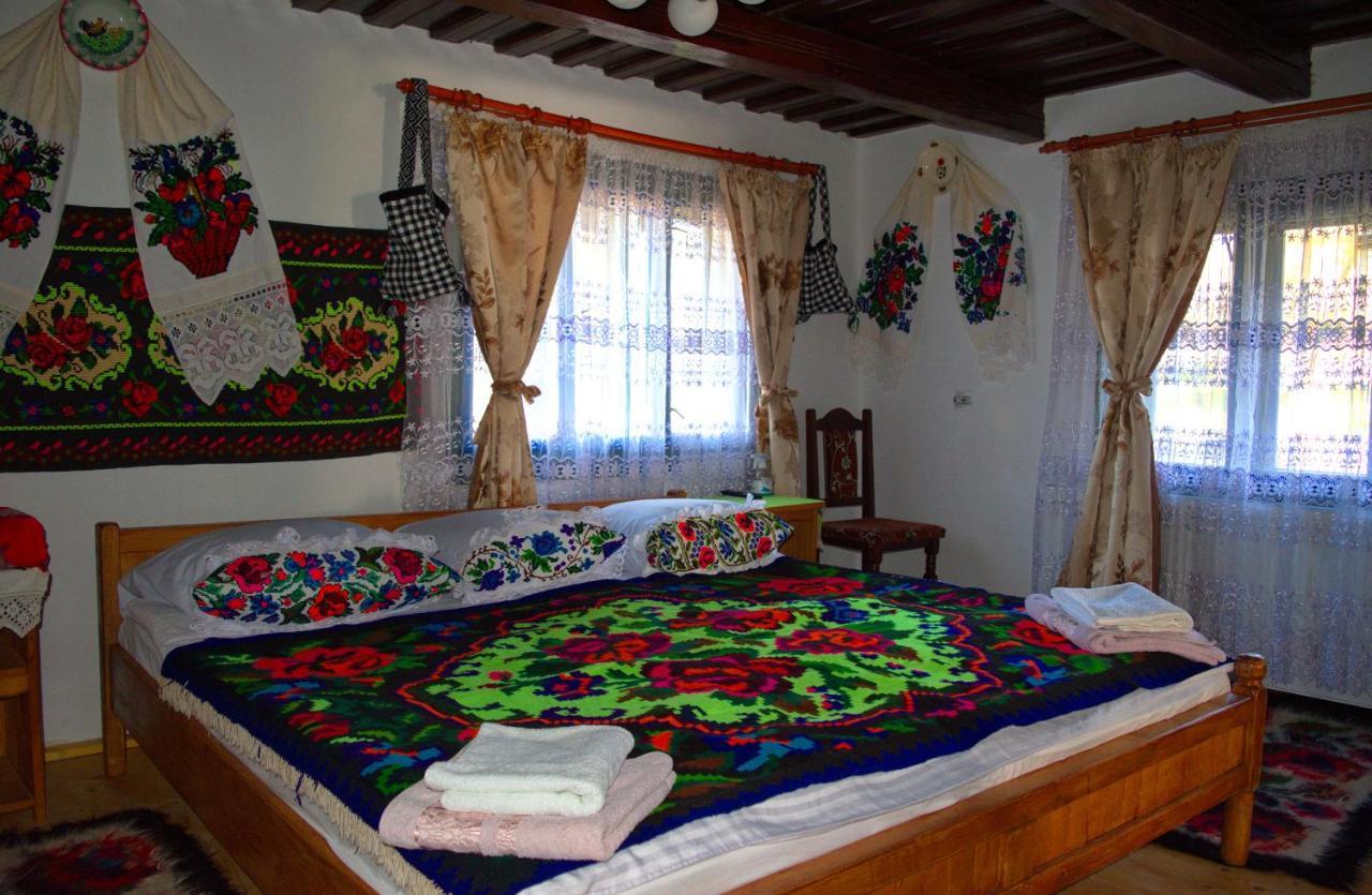 Ocna Şugatag La Rodica In Vale旅馆 外观 照片