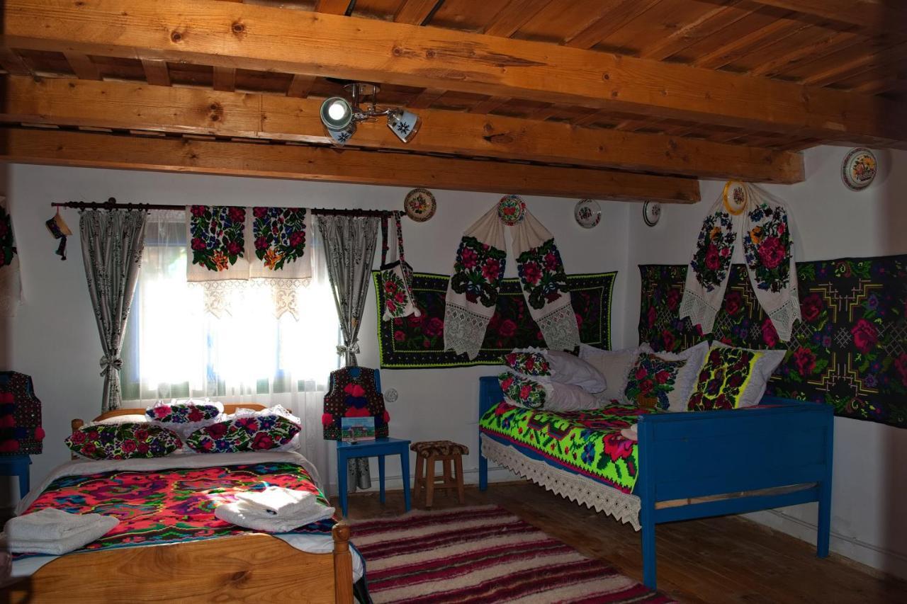 Ocna Şugatag La Rodica In Vale旅馆 外观 照片