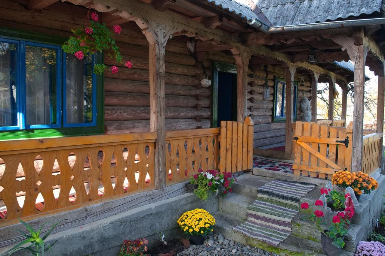 Ocna Şugatag La Rodica In Vale旅馆 外观 照片