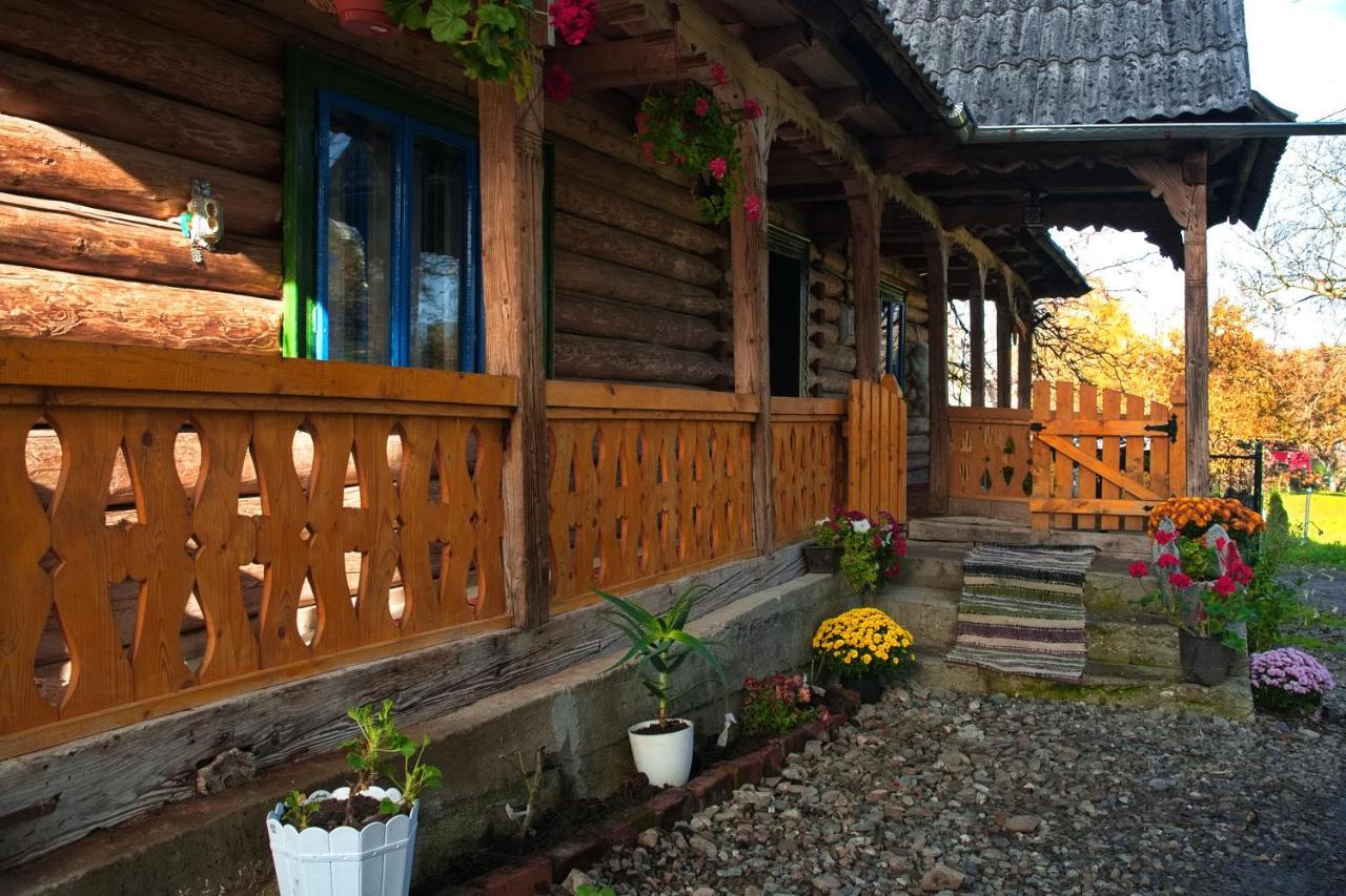 Ocna Şugatag La Rodica In Vale旅馆 外观 照片
